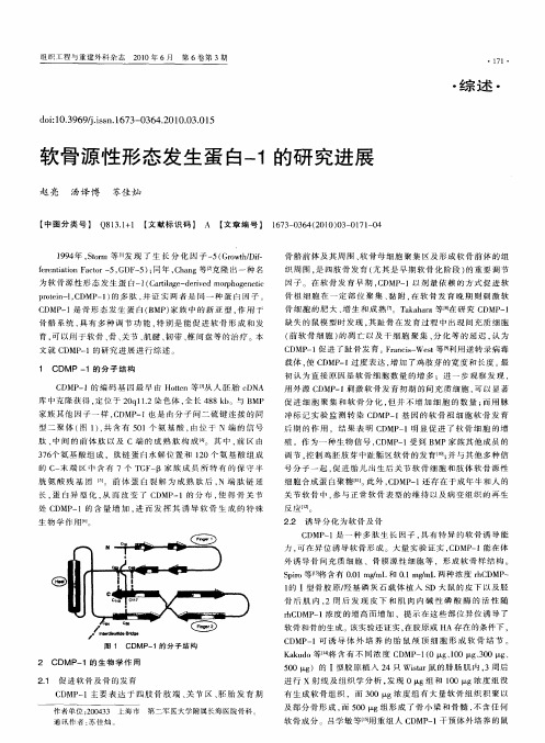 软骨源性形态发生蛋白-1的研究进展