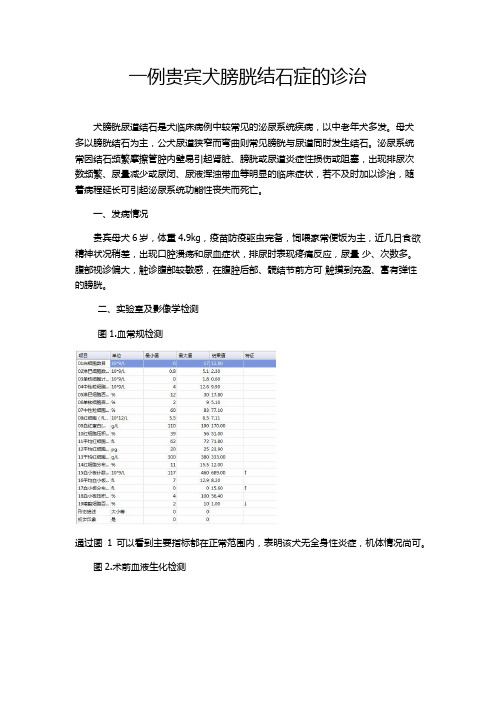 一例贵宾犬膀胱结石症的诊治