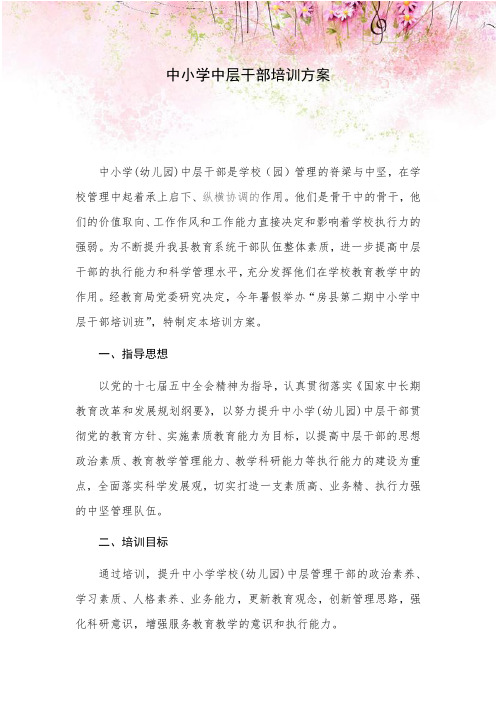 中小学中层干部培训方案