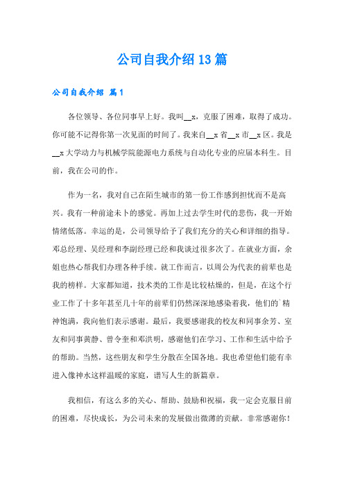 公司自我介绍13篇