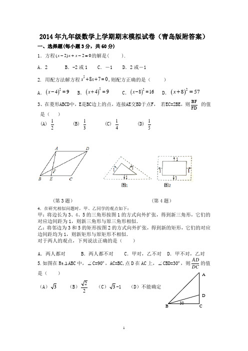 2014年九年级数学上学期期末模拟试卷(青岛版附答案)