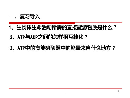 ATP的主要来源细胞呼吸完整版PPT课件