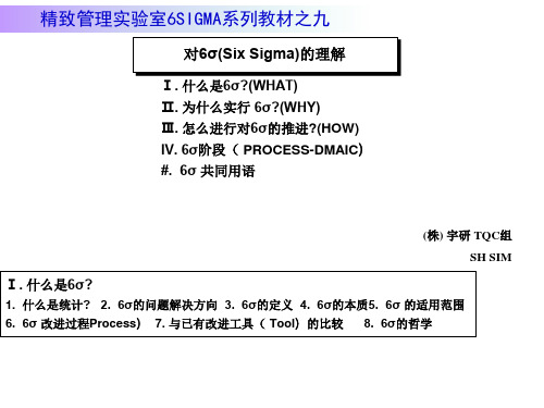 GB16sigma概述NEW精编版