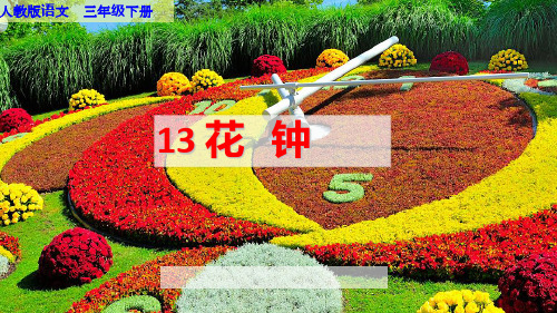 13 花钟 .课件(50张ppt)