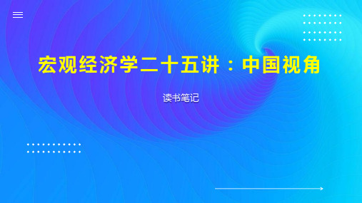 宏观经济学二十五讲：中国视角