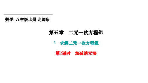 第5章 二元一次方程组 北师大版八年级上册习题课件 第2课时 加减消元法