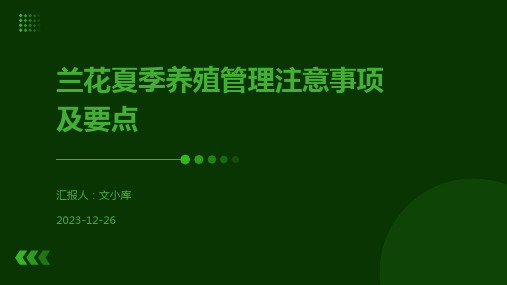 兰花夏季养殖管理注意事项及要点