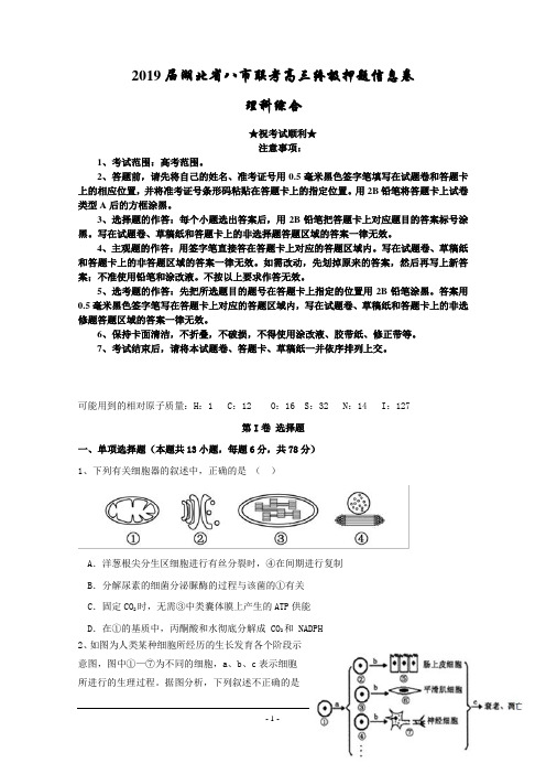 2019届湖北省八市联考高三终极押题信息卷理科综合试题