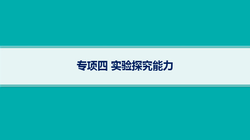 2024届高考二轮复习物理课件(新高考新教材)：实验探究能力