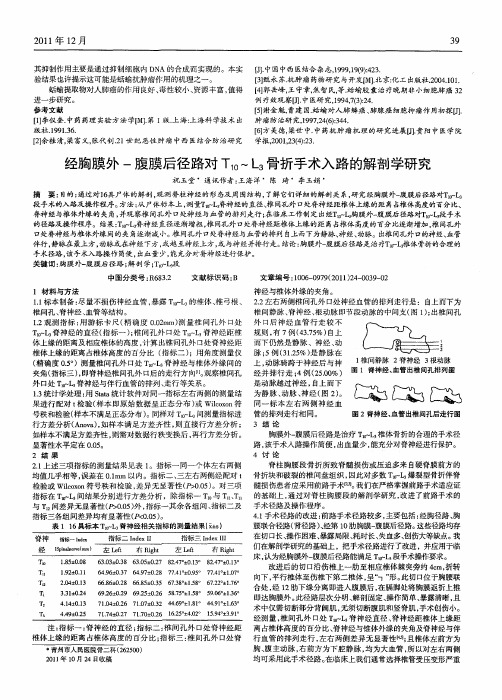 经胸膜外-腹膜后径路对T10～L3骨折手术入路的解剖学研究