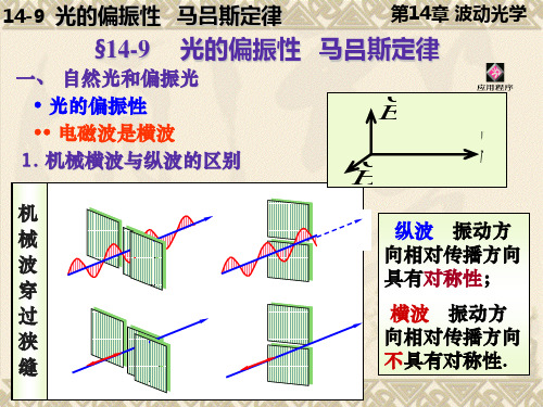 大学物理马吕斯定律