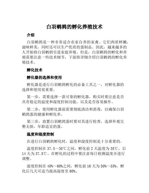 白羽鹌鹑的孵化养殖技术