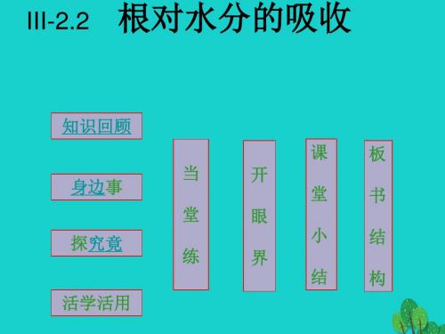 八年级生物上册第三单元第二章第二节根对水分的吸收课件冀教版