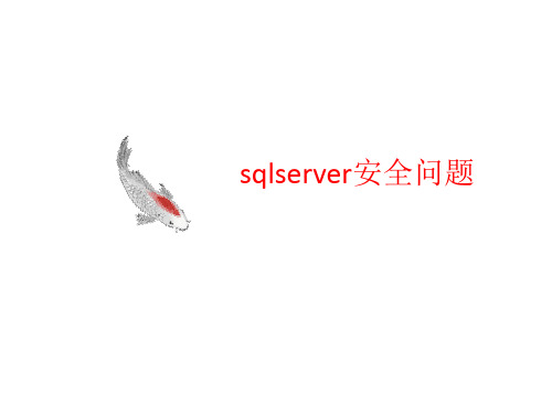 sqlserver安全问题-课件-PPT文档资料