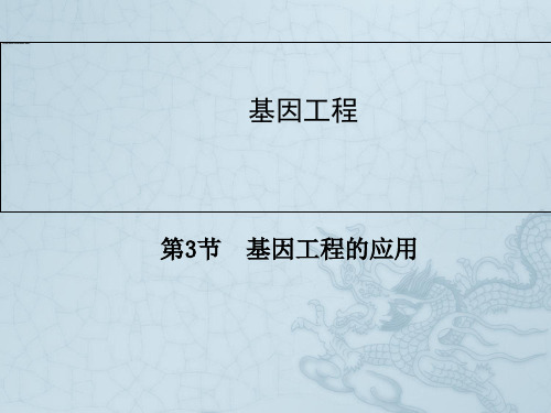 高中生物人教版选修三同步辅导与检测课件1.3 基因工程的应用