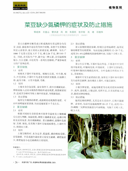 菜豆缺少氮磷钾的症状及防止措施