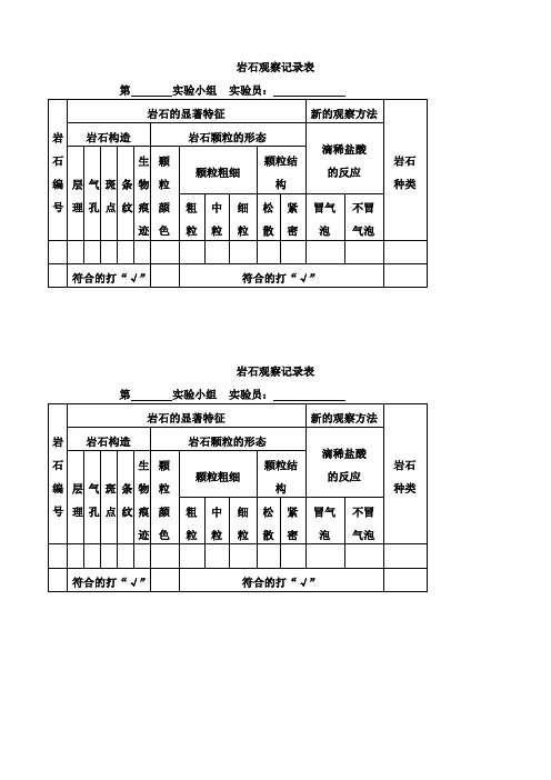 《岩石观察记录表》