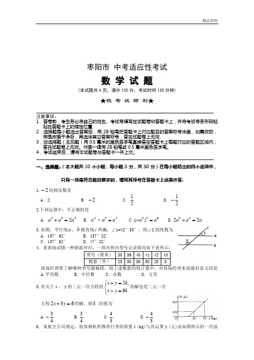 2020年枣阳市中考适应考试数学试题及答案