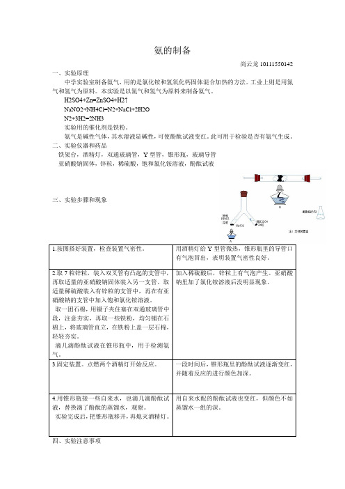 氨的制备