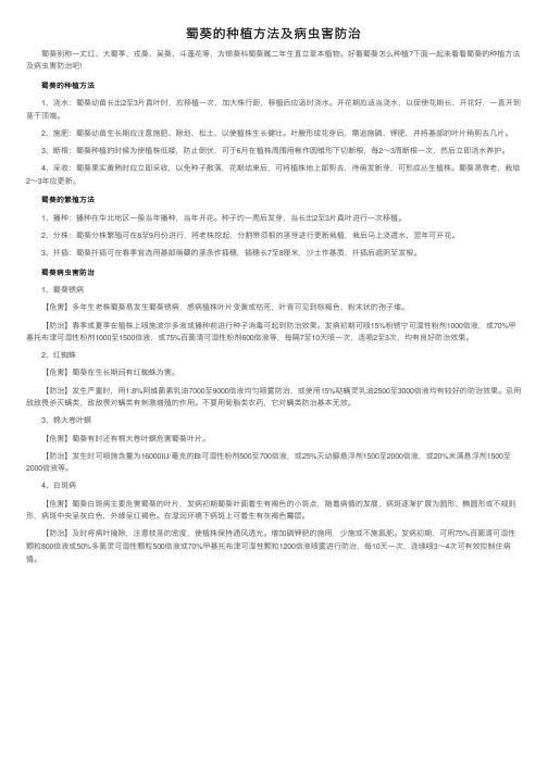 蜀葵的种植方法及病虫害防治