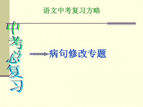 中考复习中考语文病句修改