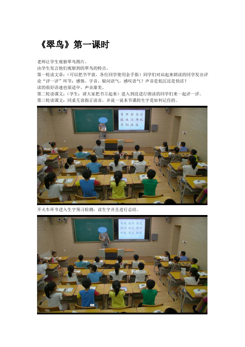 课堂教学《翠鸟》