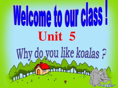 2014年春人教版七年级下册Unit 5 Why do you like koalas period 1