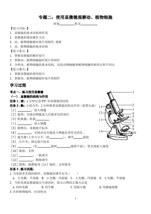 使用显微镜观察动植物细胞