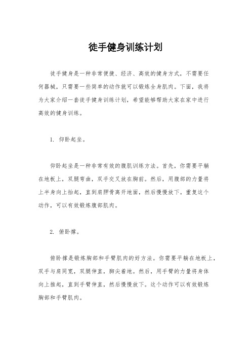 徒手健身训练计划