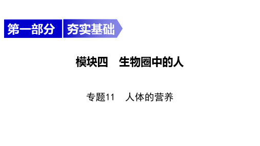 中考生物一轮复习精讲课件--  人体的营养