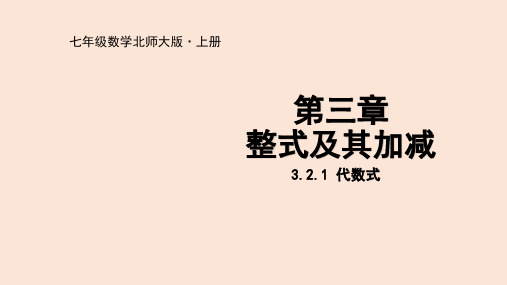 3.2代数式(1)-2024-2025学年第一学期数学北师大七年级课件