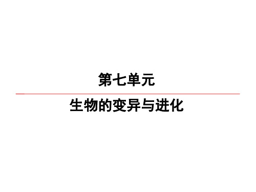 2020高考生物一轮复习课件：第7单元 第3讲 现代生物进化理论