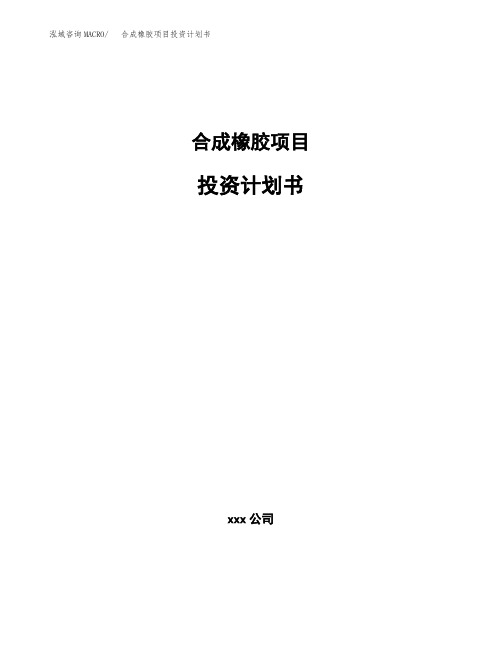 合成橡胶项目投资计划书