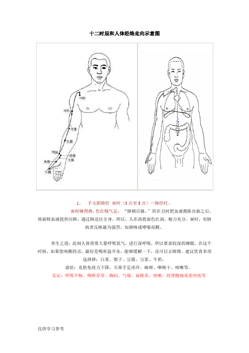 十二时辰和人体经络走向示意图