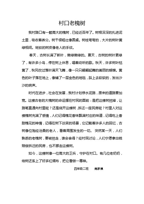 村口老槐树