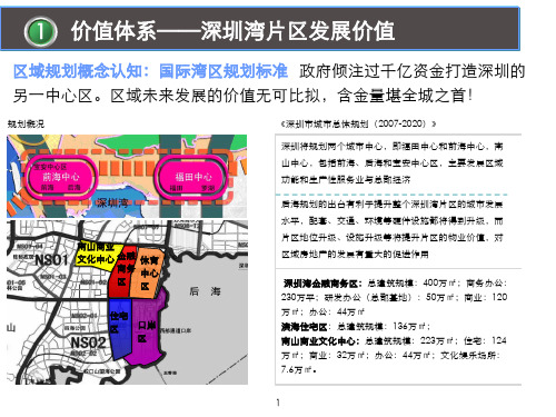 2012深圳湾片区规划