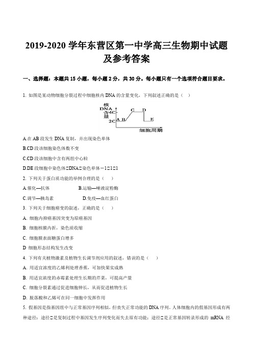 2019-2020学年东营区第一中学高三生物期中试题及参考答案