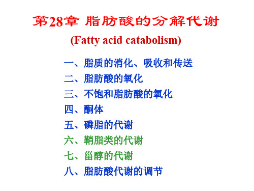 生物化学第28章脂肪酸的分解代谢