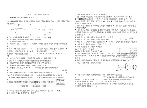 高三年级生物一轮复习1.2蛋白质的结构与功能