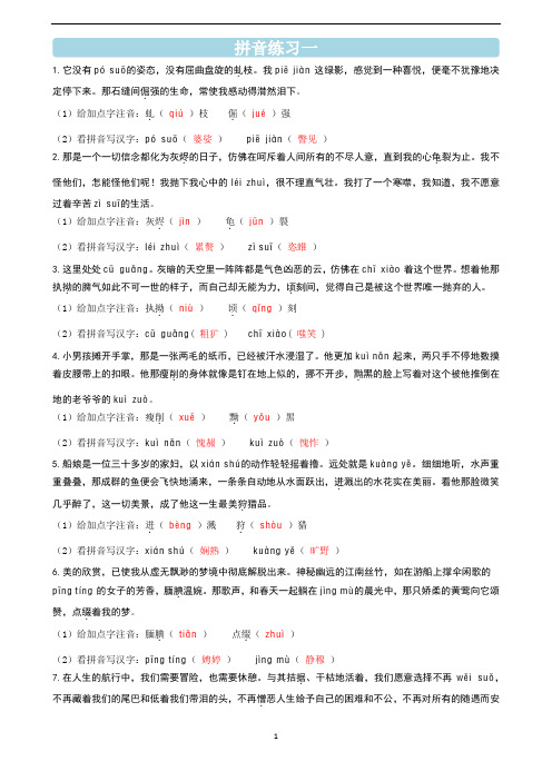 人教版初中语文拼音复习训练1(有答案解析)