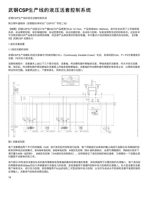 武钢CSP生产线的液压活套控制系统