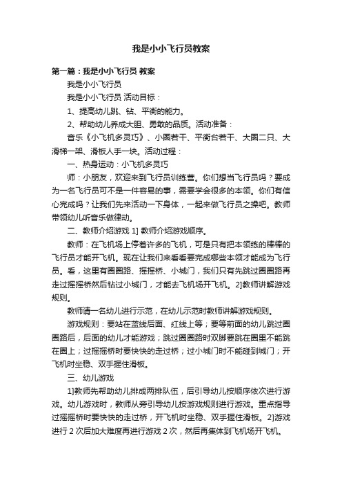 我是小小飞行员教案