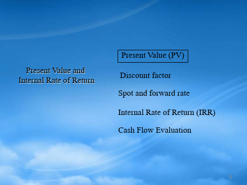 现值和内部收益率概述