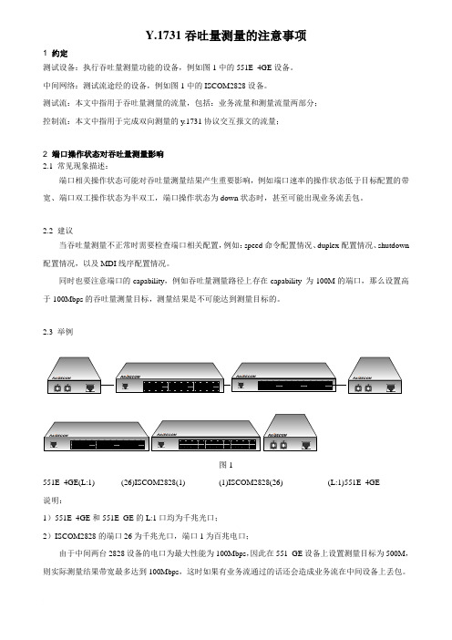 吞吐量测量功能(第一版)的使用说明