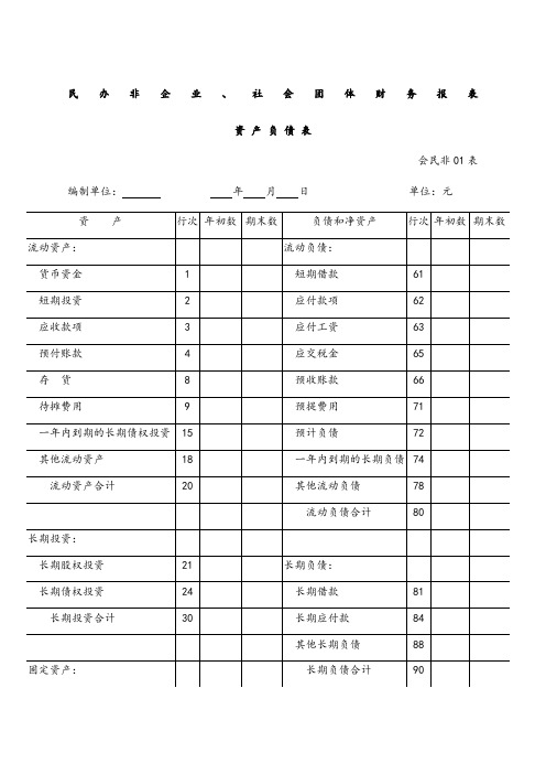 社会团体财务报表