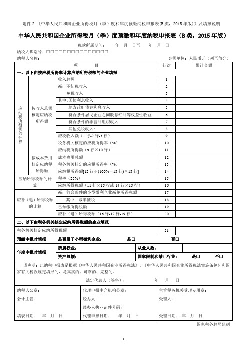 企税B类申报表