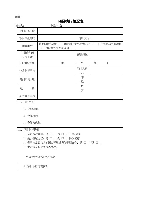 项目执行情况表