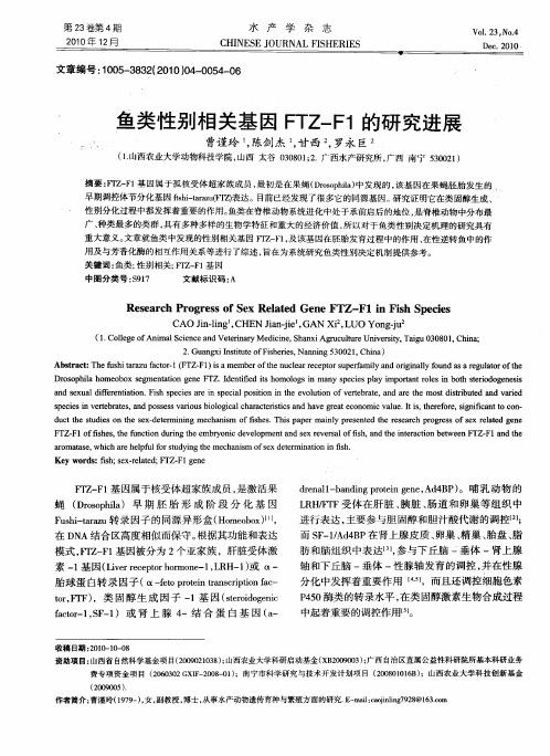 鱼类性别相关基因FTZ-F1的研究进展