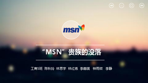 MSN在中国案例分析