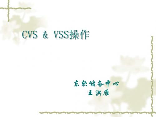 CVS&VSS操作